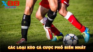 Các Loại Kèo Cá Cược Phổ Biến Nhất Hiện Nay Tại X88