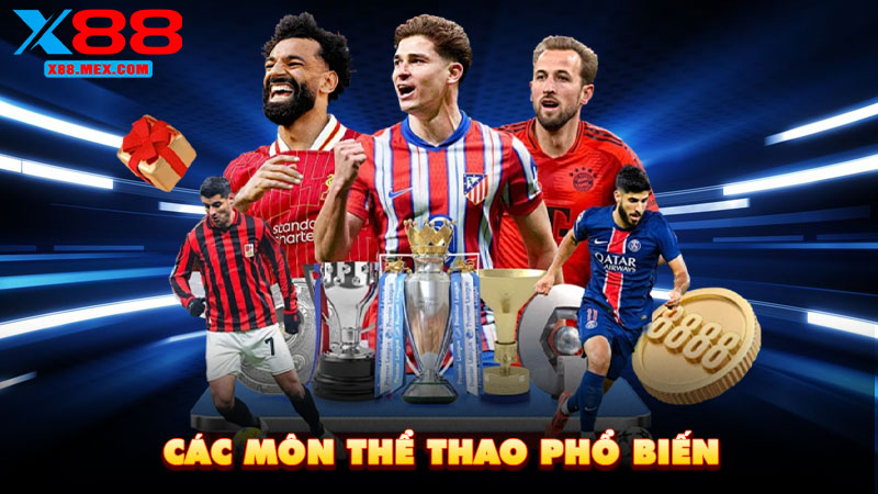 Các môn thể thao phổ biến
