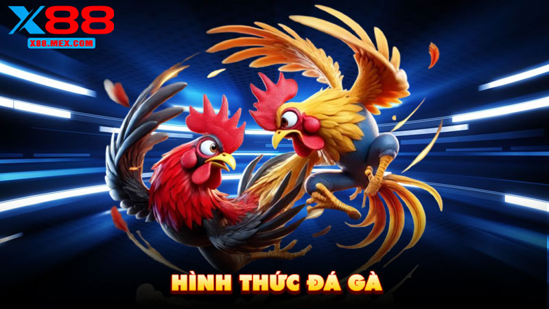 Hình thức đá gà