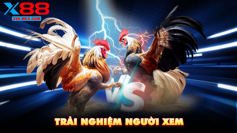 Trải nghiệm người xem